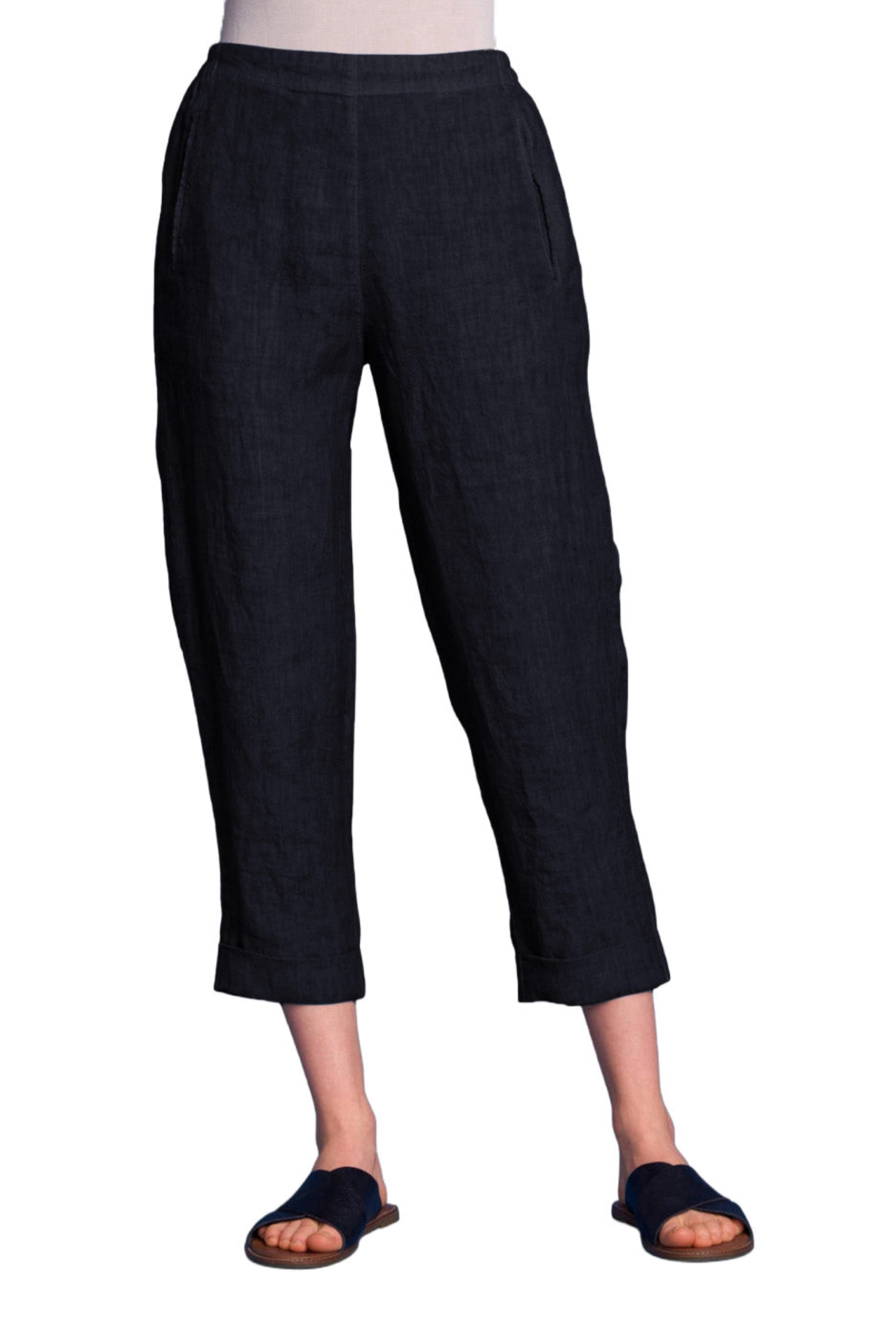 ELEMENTE CLEMENTE Slim Linen Pant in Dark Night